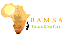 Bamsa Tours And Safaris